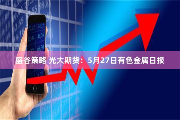 盛谷策略 光大期货：5月27日有色金属日报