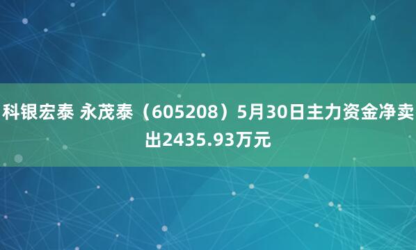 科银宏泰 永茂泰（605208）5月30日主力资金净卖出2435.93万元