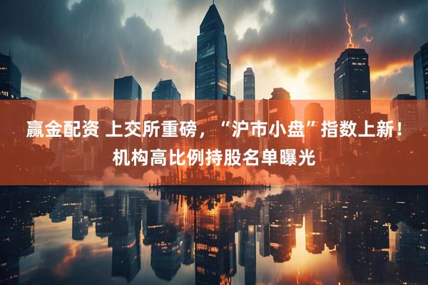 赢金配资 上交所重磅，“沪市小盘”指数上新！机构高比例持股名单曝光