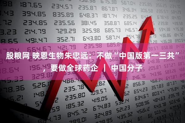 股粮网 映恩生物朱忠远：不做“中国版第一三共”，要做全球药企 ｜ 中国分子