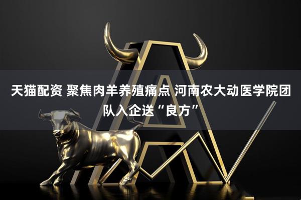 天猫配资 聚焦肉羊养殖痛点 河南农大动医学院团队入企送“良方”