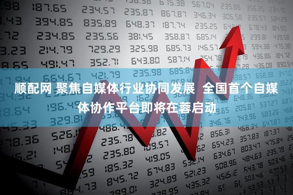 顺配网 聚焦自媒体行业协同发展  全国首个自媒体协作平台即将在蓉启动