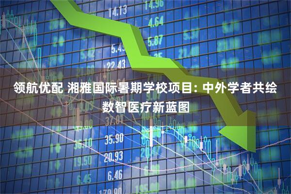 领航优配 湘雅国际暑期学校项目: 中外学者共绘数智医疗新蓝图