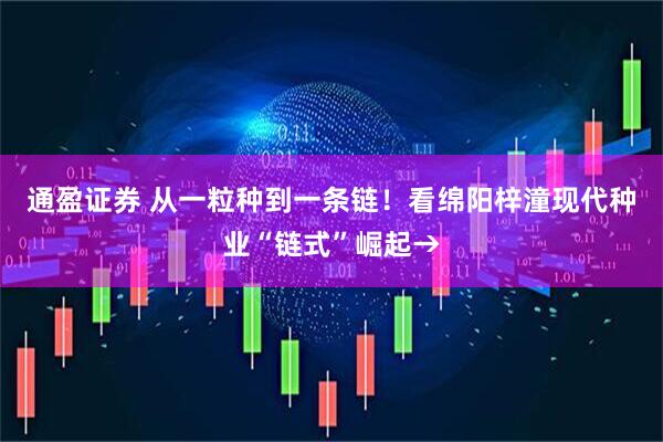 通盈证券 从一粒种到一条链！看绵阳梓潼现代种业“链式”崛起→