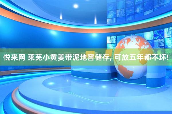 悦来网 莱芜小黄姜带泥地窖储存, 可放五年都不坏!