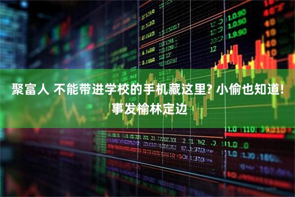 聚富人 不能带进学校的手机藏这里? 小偷也知道! 事发榆林定边