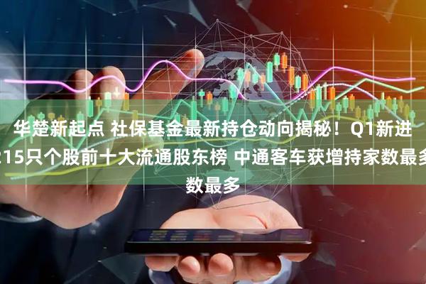 华楚新起点 社保基金最新持仓动向揭秘！Q1新进215只个股前十大流通股东榜 中通客车获增持家数最多