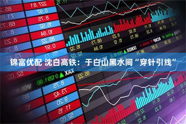 锦富优配 沈白高铁：于白山黑水间“穿针引线”
