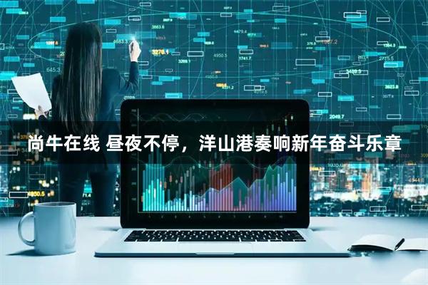 尚牛在线 昼夜不停，洋山港奏响新年奋斗乐章